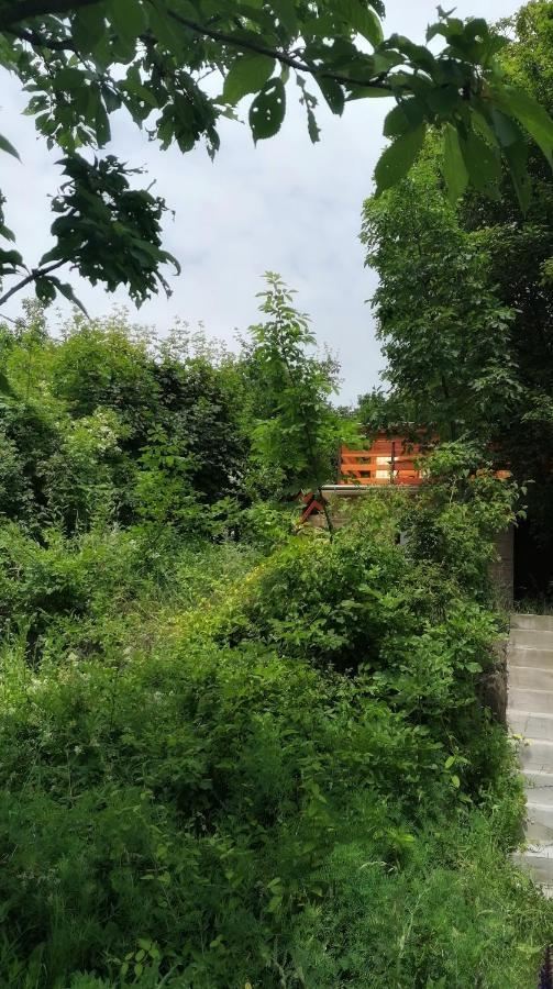 Barkoca Es Szepkilatas Vendeghaz / Cabin Verőcemaros Εξωτερικό φωτογραφία
