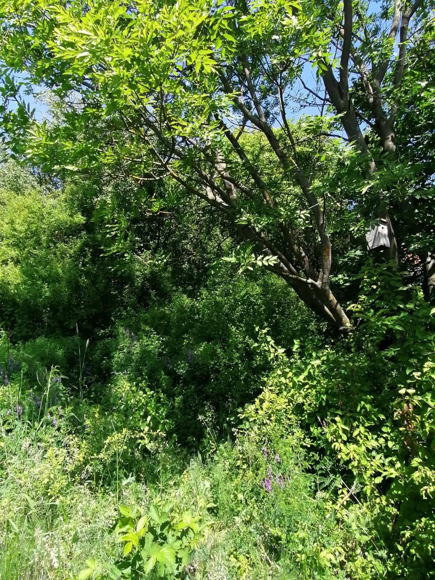 Barkoca Es Szepkilatas Vendeghaz / Cabin Verőcemaros Δωμάτιο φωτογραφία